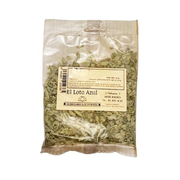 plantas_el_loto_azul2